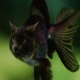 SnaTactic's profile picture. 