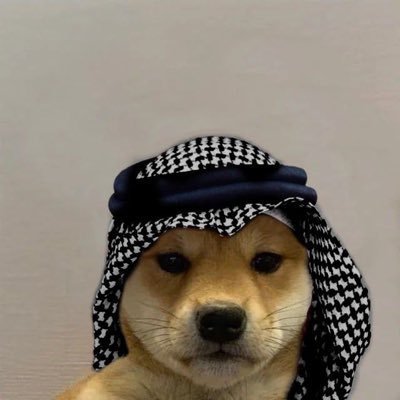 the_Web3Guy_'s profile picture. Web3 |
Crypto |
Degen |
Community moderator |
0 to Millionaire in crypto |
Student of the Markets |