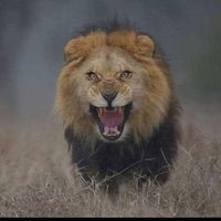 Khaled AnaElmsry4 (@khalad44mahmoud) 's Twitter Profile