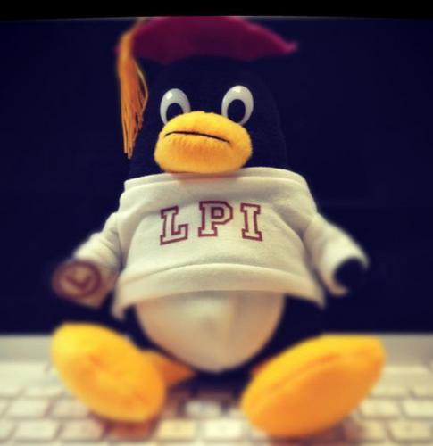 Profesor de informática, mis conocimientos son OpenSource!!