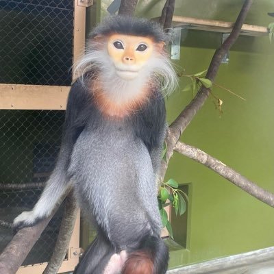 breakz0r2's profile picture. 