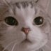 基地门口的猫 (@catsscatscat) Twitter profile photo 基地门口的猫 (@catsscatscat) Twitter profile photo