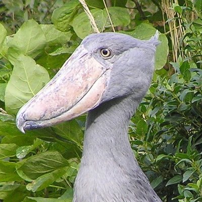 VLAD21012025's profile picture. 