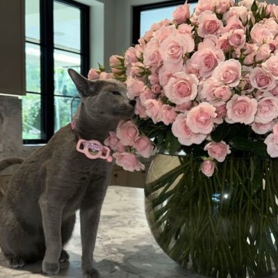 Ath0eer's profile picture. الحمدلله