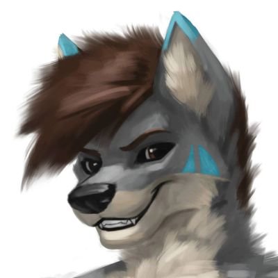 Wolf | 🇩🇪 | Car nerd | Tech enthusiast | Loves gaming, racing, sports, theme parks, travelling | 12y 🐕💚