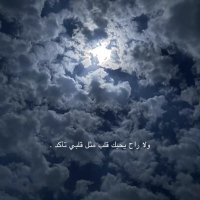 مَ (@mammadov_88) 's Twitter Profile