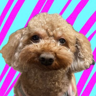 randyloro201978's profile picture. 2025.1.21開始 レザークラフト一年生