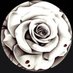 .. (@sudhasandy22540) Twitter profile photo .. (@sudhasandy22540) Twitter profile photo