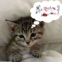 morwww (@emocentrica) 's Twitter Profile