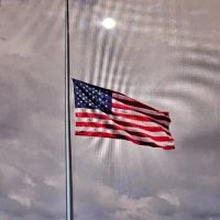 LuAnn Crouse (@yorkiemom4ever) 's Twitter Profile