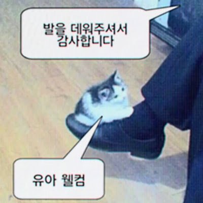 hyazzang_'s profile picture. 개발자를 꿈꾸고 공부중(　・`ω・´) 공부기록 및 일상 계정