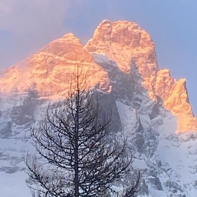 GiovannangeloS's profile picture. Ok