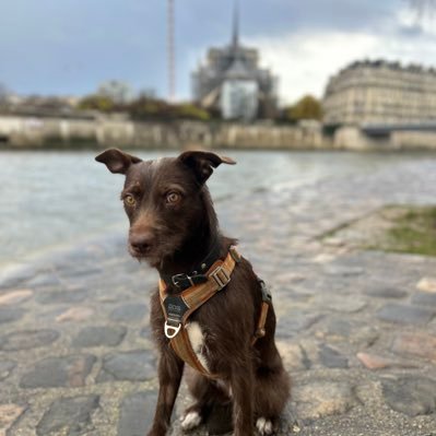 POPMONDO's profile picture. Dad, citizen, storyteller, producer. “A reader lives a thousand lives.”