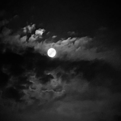 y320_y10's profile picture. 