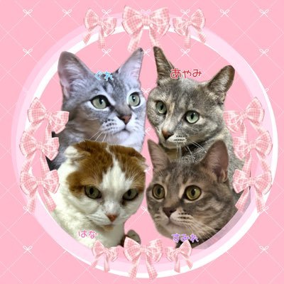 はなすみれさんのプロフィール画像