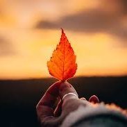 satyamkuma515's profile picture. 