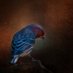 Imageartsc Steven Richardson (@imageart516) Twitter profile photo Imageartsc Steven Richardson (@imageart516) Twitter profile photo