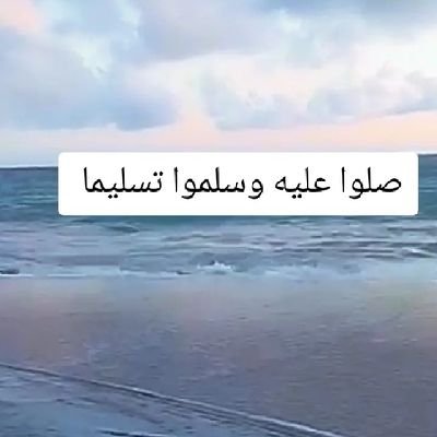 rm9999609849542's profile picture. 