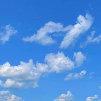 BlueWaveDane (@bluewavedane) 's Twitter Profile
