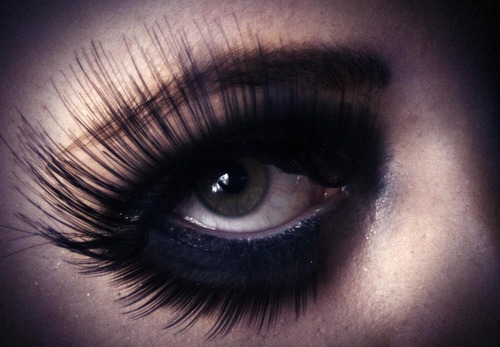 VanyaSacha's profile picture. Photographer/Filmmaker http://t.co/DiDHydgfSp