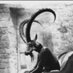 One Old Goat (@anotheroldgoat1) Twitter profile photo One Old Goat (@anotheroldgoat1) Twitter profile photo