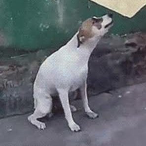 1UPさんのプロフィール画像