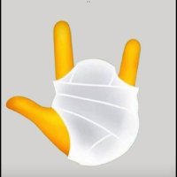 Speaking my mind 🎗🇳🇱🇮🇱 🤟🅰️5️⃣2️⃣ (@rspeakingmymind) 's Twitter Profile