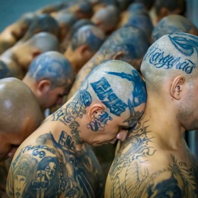 All live exclusive and Explicit Videos from Different prison all around the world 🏳️🌈🔥 Telegram channel available for exclusive And longer videos.