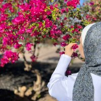 Safaa Alqwloob (@alqwloob) 's Twitter Profile