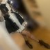 no (@ping___37) Twitter profile photo no (@ping___37) Twitter profile photo