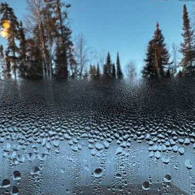 ara_valley's profile picture. 