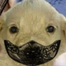 N69866065's profile picture. 