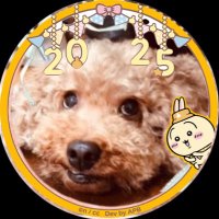 心温子(シオン) (@shinonko_shion) 's Twitter Profile