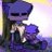 blueycritter's profile image