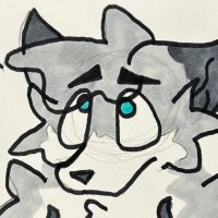 NormaFoxx (@thenormafoxx) 's Twitter Profile