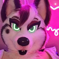 Sundae Huskie🍦🐾 (@sundaehuskie) 's Twitter Profile