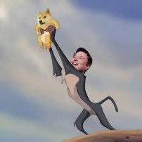 ilonnmusk's profile picture. Following info