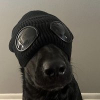 swag (@swxgs) 's Twitter Profile