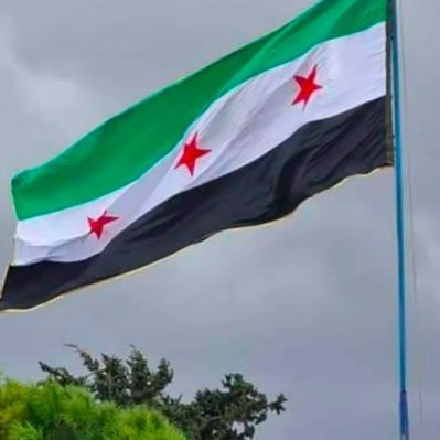 🇸🇾
