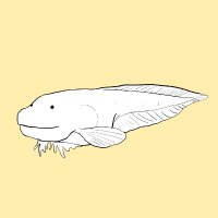 くまむ (@poppoqo) 's Twitter Profile