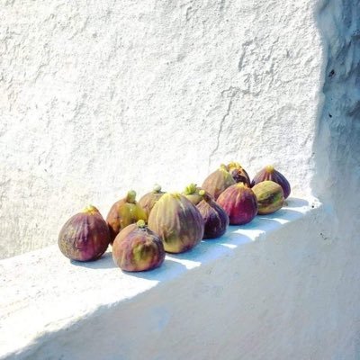 wellDone_quesos's profile picture. PEEL SLOWLY AND SEE