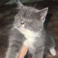 مرايم (@1i_jjj) 's Twitter Profile
