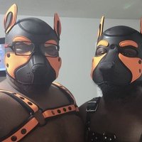 Pup Bear (FWA)๐พ๐พ (@bignerdpup) 's Twitter Profile