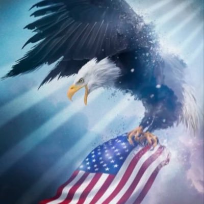 Brenparks1's profile picture. I didn’t find the movement, the movement found me ❤️🇺🇸❤️