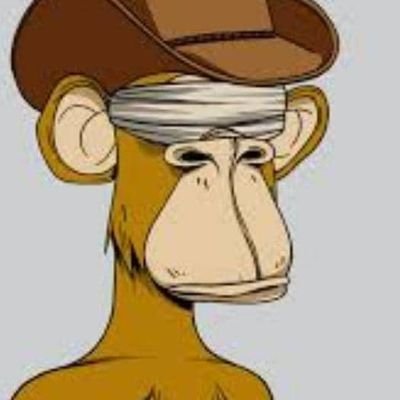 Shaun2033266's profile picture. 