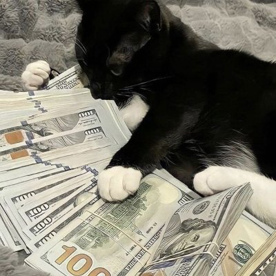 EhJerryy's profile picture. Discord: EhJerry
Discord Server: https://t.co/XL1t8nH419