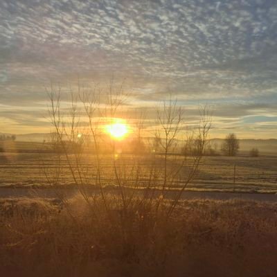 adsasr's profile picture. 