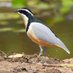 Jonathan Scragg (@scraggybirder) Twitter profile photo Jonathan Scragg (@scraggybirder) Twitter profile photo