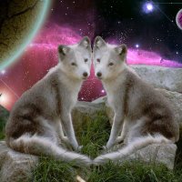 Ketal (@ketal74) 's Twitter Profile