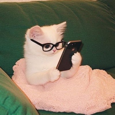 hani231224's profile picture. 그의 눈에서 사랑을 목격했다